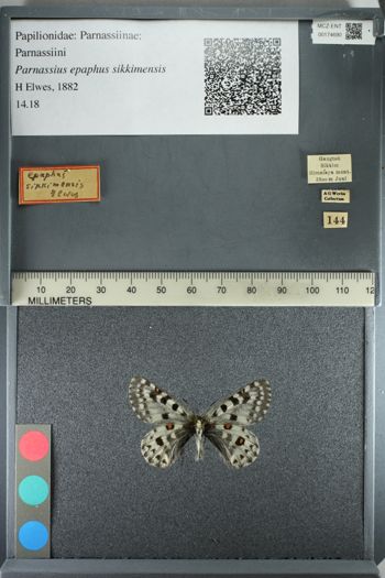 Media type: image;   Entomology 174690